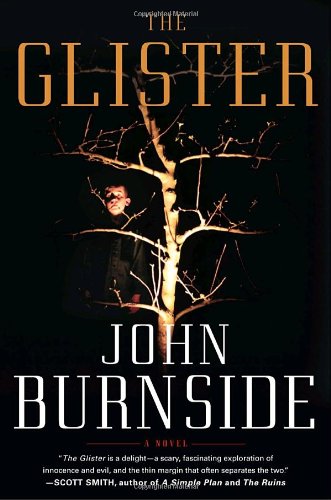 Beispielbild fr The Glister: A Novel zum Verkauf von SecondSale