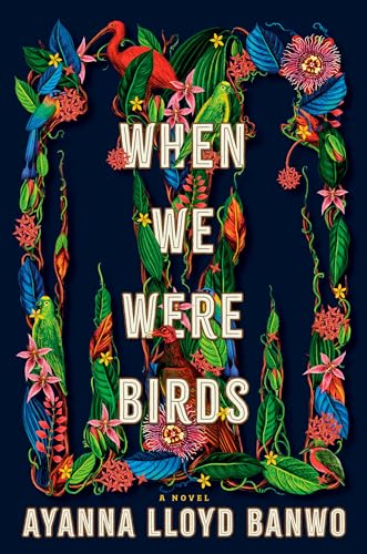 Stock image for When We Were Birds: A Novel for sale by Books-FYI, Inc.