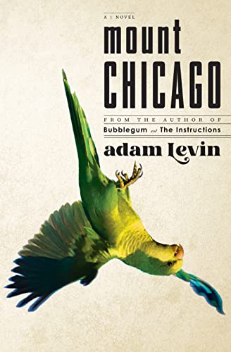 Beispielbild fr Mount Chicago: A Novel zum Verkauf von New Legacy Books