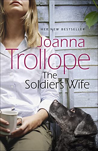 Beispielbild fr The Soldier's Wife zum Verkauf von WorldofBooks