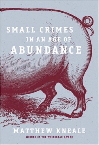 Stock image for Small Crimes in an Age of Abundance for sale by Better World Books: West