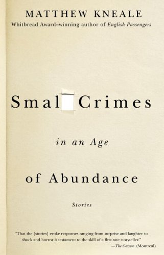 9780385661393: Small Crimes in an Age of Abundance