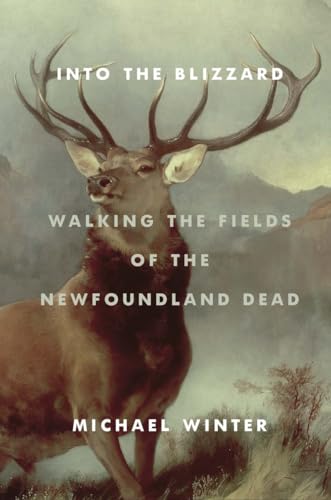 Stock image for Into the Blizzard : Walking the Fields of the Newfoundland Dead for sale by Better World Books