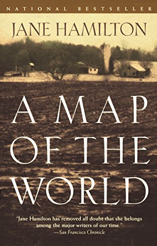 9780385720106: A Map of the World: A Novel