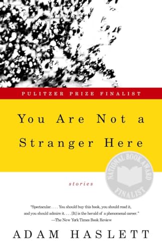 Beispielbild fr You Are Not a Stranger Here: Stories zum Verkauf von Wonder Book