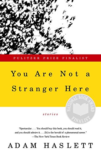 Imagen de archivo de You Are Not a Stranger Here: Stories a la venta por Your Online Bookstore