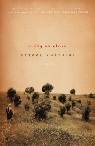 Imagen de archivo de A Sky So Close : A Novel a la venta por Better World Books