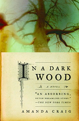 Stock image for In a Dark Wood : A Novel for sale by Better World Books