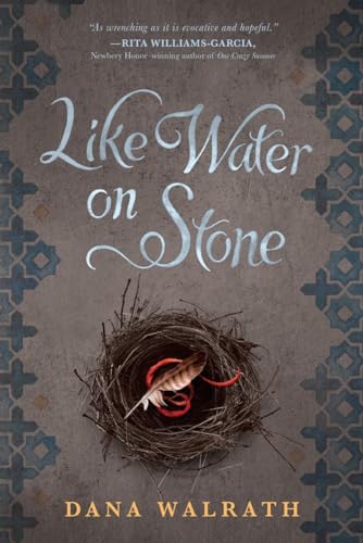 Beispielbild fr Like Water on Stone zum Verkauf von Better World Books