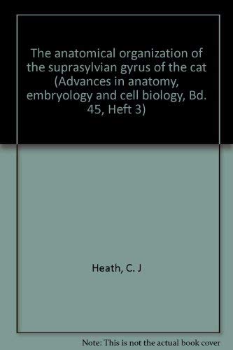 The Anatomical Organization of the Suprasylvian Gyrus of the Cat,