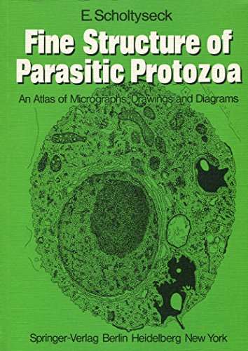 Stock image for Fine Structure of Parasitic Protozoa: An Atlas of Micrographs, Drawings & Diagrams for sale by HPB-Red