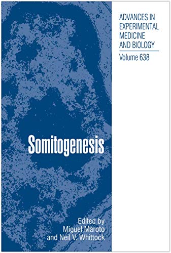 Stock image for Somitogenesis (Hb) for sale by Urban Book Limited