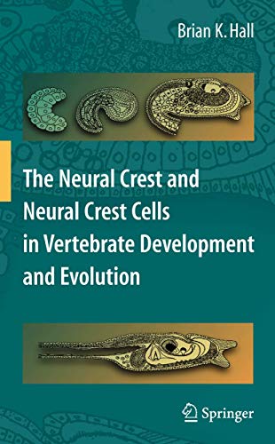 The Neural Crest and Neural Crest Cells in Vertebrates Development and Evolution