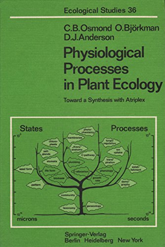 9780387100609: Physiological Processes in Plant Ecology: Toward a Synthesis With Atriplex (Ecological Studies)