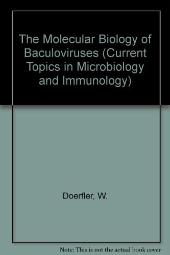 Imagen de archivo de The Molecular Biology of Baculoviruses (Current Topics in Microbiology & Immunology) Doerfler, W. and Bohm, P. a la venta por CONTINENTAL MEDIA & BEYOND