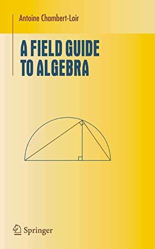 9780387214283: A Field Guide to Algebra (Undergraduate Texts in Mathematics)