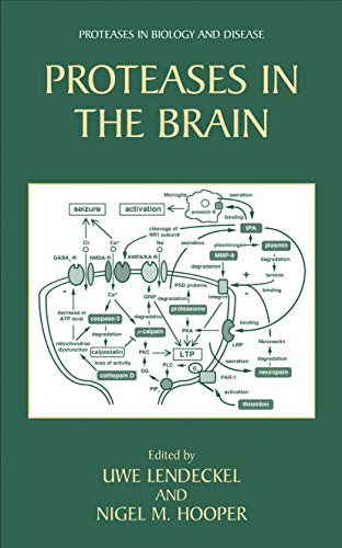 Imagen de archivo de Proteases In The Brain a la venta por Book Bear