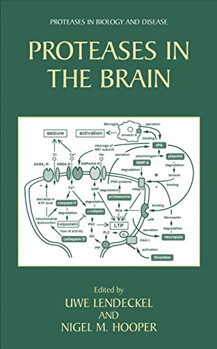 9780387231006: Proteases in the Brain (Proteases in Biology and Disease, 3)