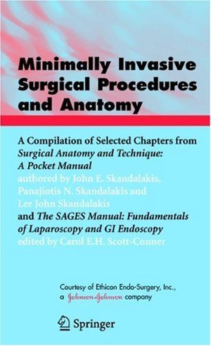 9780387244501: Minimally Invasive Surgical Procedures And Anatomy