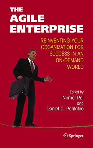 Imagen de archivo de Agile Enterprise: Reinventing Your Organization For Success In The World Of On-Demand a la venta por Basi6 International