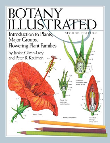 Imagen de archivo de Botany Illustrated : Introduction to Plants, Major Groups, Flowering Plant Families a la venta por Blackwell's