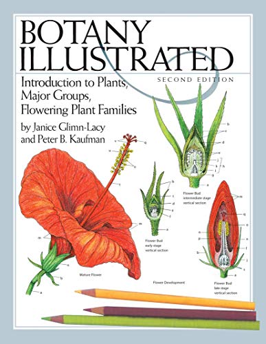 Stock image for Botany Illustrated : Introduction to Plants, Major Groups, Flowering Plant Families for sale by Blackwell's