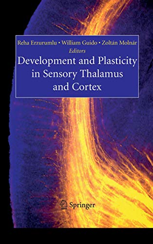 Beispielbild fr Development and Plasticity in Sensory Thalamus and Cortex zum Verkauf von Books Puddle