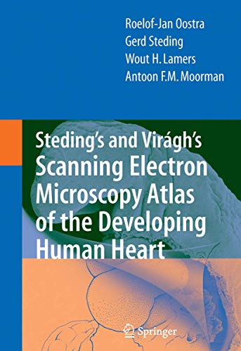 Imagen de archivo de Steding'S And Virgh'S Scanning Electron Microscopy Atlas Of The Developing Human Heart (Hb) a la venta por Romtrade Corp.