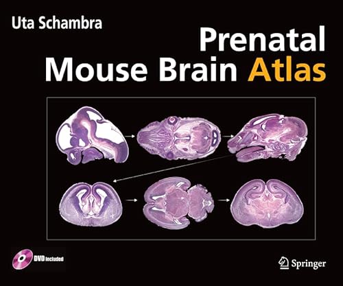 9780387470894: Prenatal Mouse Brain Atlas: Color images and annotated diagrams of: Gestational Days 12, 14, 16 and 18 Sagittal, coronal and horizontal section