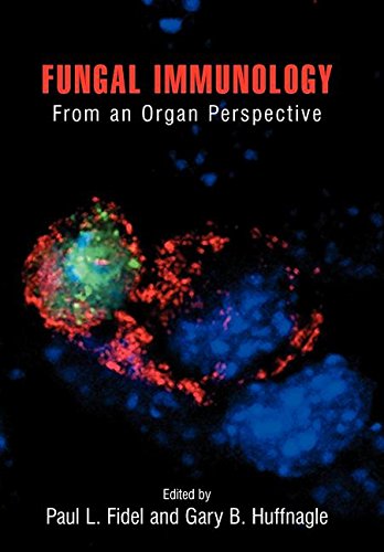 Beispielbild fr Pharmacology of Antipertensive Therapeutics (Handbook of Experimental Pharmacology) contributors W. Bartsch . Ed. Detlev Ganten and Patrick J. Mulrow / Handbook of experimental pharmacology ; Vol. 93 zum Verkauf von NEPO UG