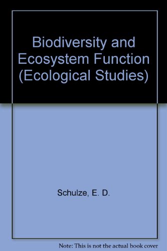 Stock image for Biodiversity and Ecosystem Function for sale by The Book Bin