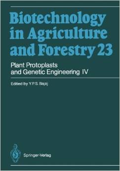 Stock image for Plant Protoplasts and Genetic Engineering IV (Biotechnology in Agriculture and Forestry) for sale by Cambridge Rare Books