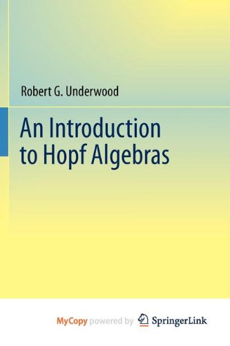 An Introduction to Hopf Algebras (9780387566153) by [???]