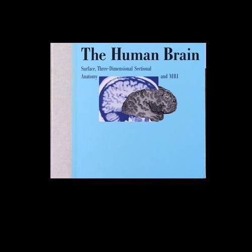 Beispielbild fr The human Brain surface, 3 dimentional sectional Anatomie zum Verkauf von Buchhandlung-Antiquariat Sawhney