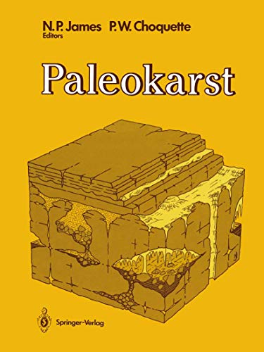 9780387965635: Paleokarst