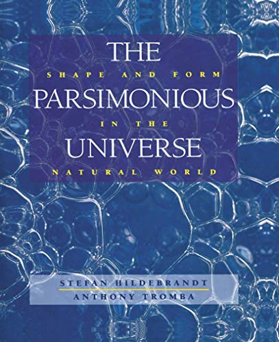 9780387979915: The Parsimonious Universe: Shape and Form in the Natural World