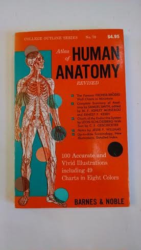 Stock image for Atlas Of Human Anatomy for sale by gearbooks