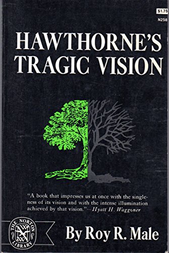 Beispielbild fr Hawthorne's Tragic Vision zum Verkauf von Better World Books