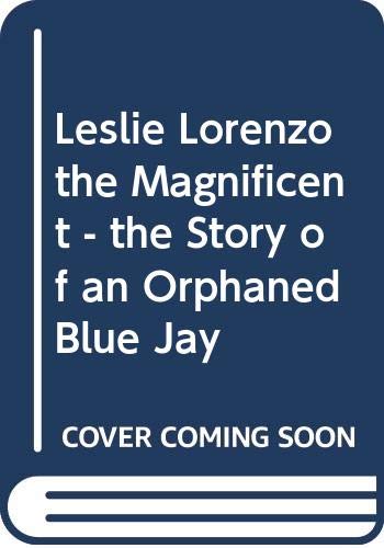 Stock image for Lorenzo the Magnificent: The story of an orphaned blue jay for sale by Half Price Books Inc.