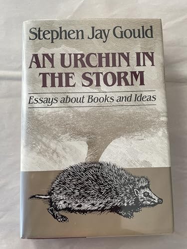 9780393024920: An Urchin in the Storm: Essays About Books and Ideas