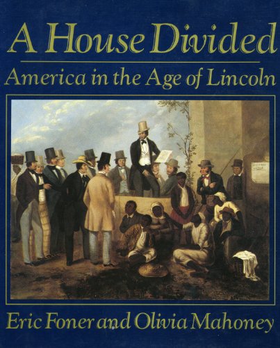 Imagen de archivo de House Divided: America in the Age of Lincoln a la venta por More Than Words