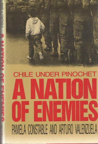 9780393030112: A Nation of Enemies: Chile Under Pinochet