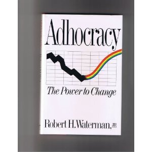 9780393034141: Adhocracy: The Power to Change