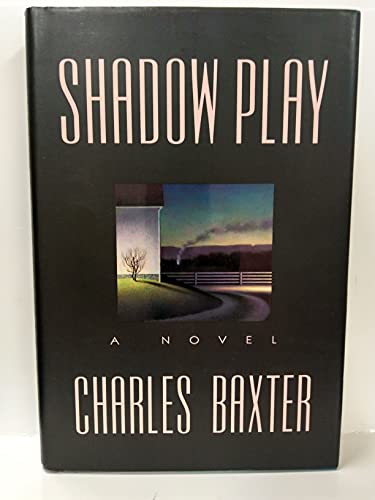 9780393034370: Shadow Play: A Novel