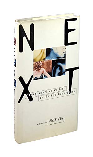 Beispielbild fr Next : Young American Writers on the New Generation zum Verkauf von Better World Books