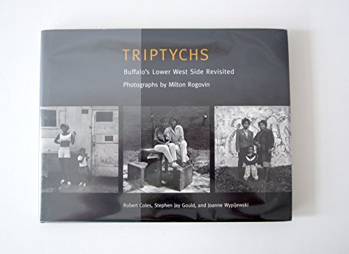 9780393035889: Triptychs: Buffalo's Lower West Side Revisited