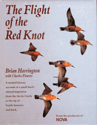 Imagen de archivo de The Flight of the Red Knot a la venta por Better World Books: West