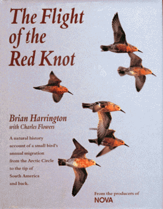 9780393038613: The Flight of the Red Knot: A Natural History Account of a Small Bird's Annual Migration from the Arctic Circle to the Tip of South America and Back