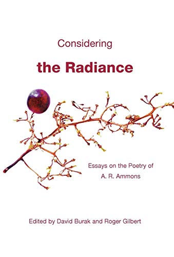 Beispielbild fr Considering the Radiance zum Verkauf von Books Puddle
