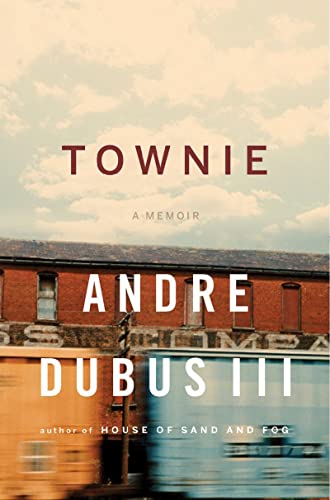 9780393064667: Townie: A Memoir